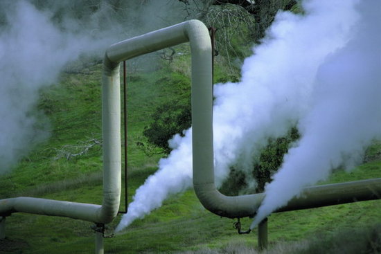 方形糖心网站免费入口器